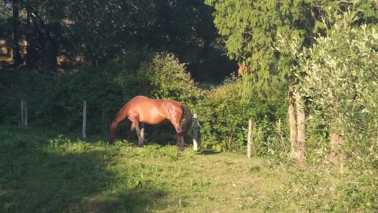 Apartamento Para Dos Personas En Guriezo Trebuesto Exterior foto