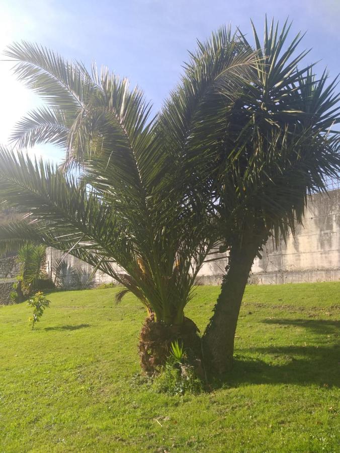 Apartamento Para Dos Personas En Guriezo Trebuesto Exterior foto
